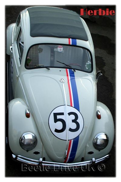 Herbie The Love Bug pic1 