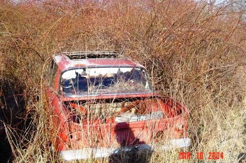 '61 Lark hardtop - Ralph Banghart